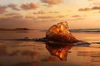 David vs Goliath, sea, sand, ant, sky, water, sun, sunset, beach HD wallpaper
