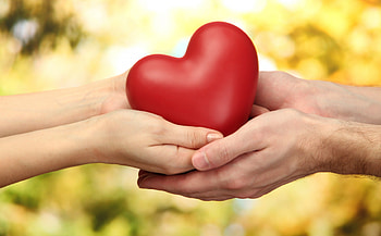 Big love ..., valentines, day, love, red, hands, happy, heart HD wallpaper