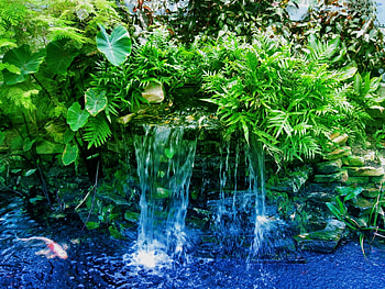 Waterfall, trees, garden, nature HD wallpaper