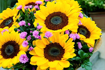 A stunning bouquet of sunflowers and purple flowers, perfect for brightening any space. HD wallpaper