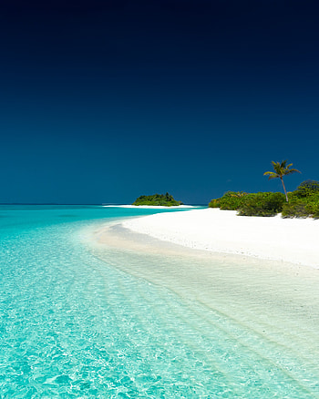 Nature, Sky, Beach, Sand, Palms, Ocean, Island HD phone wallpaper