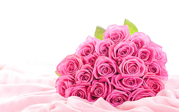 ~ Beautiful and Gentle ~, bouquet, gentle, pink roses, colors, nice, fragrance, petals, sweet, roses, soft, gorgeous, adolable, decorated, beautiful, cherish, leaves, pretty, sentiments, love, cool, nature, scent, meaningful, flowers, tender touch, lovely, splendor HD wallpaper