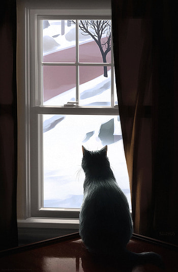 Animals, Winter, Cat, Window, Coziness, Comfort HD phone wallpaper