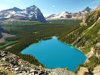 Lake O'Hara, trees, sky, lake, mountain HD wallpaper