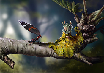 New wings, fairy, branch, hreen, wing, tale, fantasy, ant, girl HD wallpaper