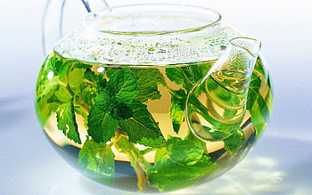 Tea background, Lemon Balm leaves, , Refreshing beverage HD wallpaper