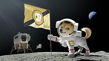I heard you like doge. Doge . HD wallpaper