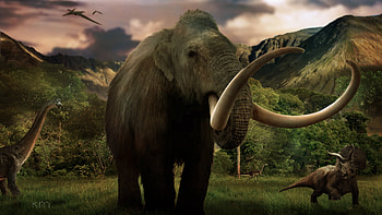 10 mammoth , Top mammoth, mammoth backgrounds, Mammoth HD wallpaper