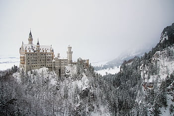 Majestic Neuschwanstein Castle surrounded by snowy Bavarian forest. HD wallpaper
