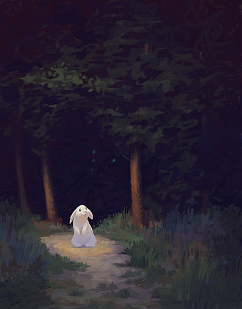 Art, Dark, Forest, Nice, Sweetheart, Rabbit HD phone wallpaper