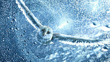 Legend of the Guardians: The Owls of Ga& HD wallpaper