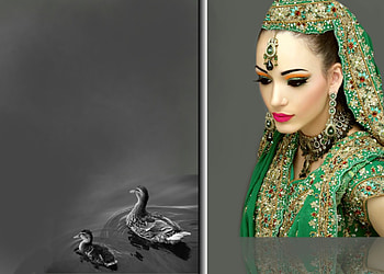 model, duck, bride, lack HD wallpaper