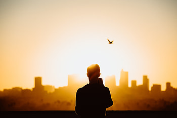 Cityscape grapher Silhouette, cityscape, graphy, silhouette HD wallpaper