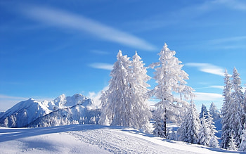 Landscape, Winter, Trees HD wallpaper