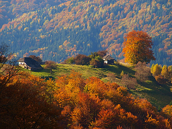 Romania - Rucar - Bran, rucar, bran, romania, mountains HD wallpaper