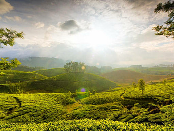 The-Hills-Of-Munnar, outdoors, grass, sky, nature HD wallpaper