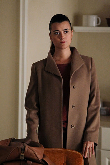 NCIS season 10, Episode 11, Thrilling plot, Exciting developments HD phone wallpaper