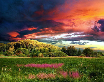 Passing, black, wild flowers, sunlight, grass, orange clouds, field, valley, trees, storm clouds HD wallpaper