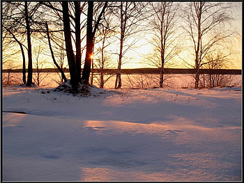 Landscape, Winter, Trees, Sunset HD wallpaper