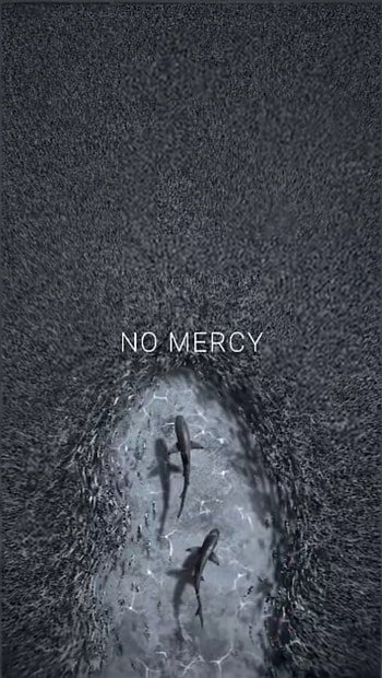 No Mercy, Inspiration_Sharks, No_Mercy HD phone wallpaper