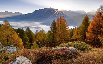 Autumn in Switzerland, mountains, Switzerland, mist, sunbeams, autumn, trees HD wallpaper