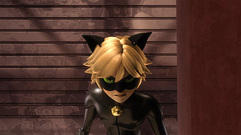 Cat Noir Copycat episode, Season 1 highlight, Noir Cats, Miraculous Ladybug HD wallpaper