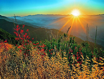 Summer morning, rays, sunlight, morning, sunrise, nice, bright, shine, sunset, meadow, beautiful, mountain, summer, field, light, clouds, nature, sky, flowers, clear, lovely HD wallpaper