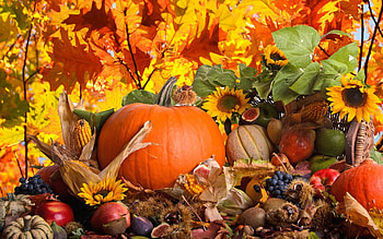Paige Sheldon - pumpkin fall backgrounds for laptop - 1920 x 1200 px HD wallpaper