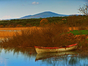 Old Boat in Lake, boat, colorful, brush, sky, nature, foliage, lake HD wallpaper