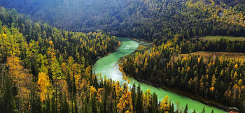 River flow, aerial view, green forest HD wallpaper