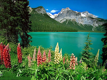 lake_nature, cool, lake-nature HD wallpaper