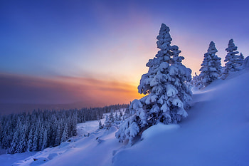 Winter Serenity: Russia’s Snow-Covered Nature in Stunning, Russia, nature, winter HD wallpaper