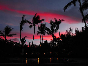 Red Sky at Night, blue, lights, exotic, red, sky, water, palm trees HD wallpaper
