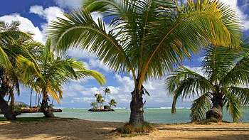 Nature, Sea, Beach, Sand, Summer HD wallpaper