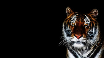 3D tiger , delight, Captivating ry, Striking animal HD wallpaper
