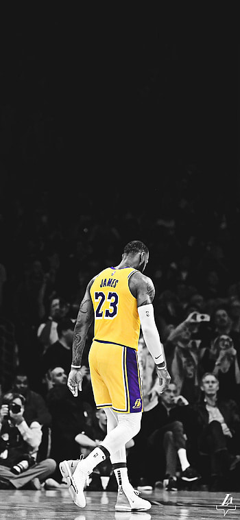 LeBron James, Celebs, Lakers , infographics HD phone wallpaper