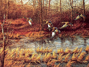 Ducks, painting, art, animals, trees, nature, water HD wallpaper