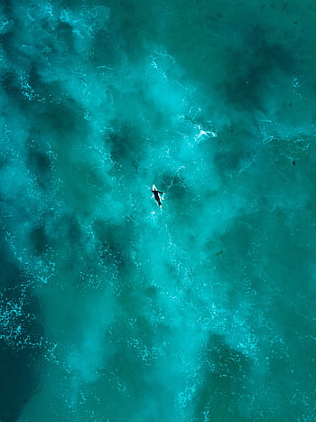 Breathtaking aerial shot of a lone surfer navigating the vibrant turquoise waters near Sydney. HD phone wallpaper