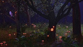 Wael forest, luminos, nour eldeen, owl, wael, tree, night, bird, dark, fantasy, lights, bufnita, forest HD wallpaper
