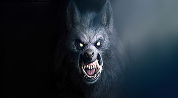 Werewolf , wolf, artist, artwork, digital-art HD wallpaper