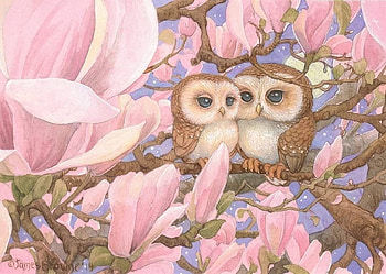 owls in love, owls, pink, magnolias, love HD wallpaper