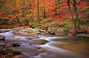 river in Turkey, river, turkey, forest, stones HD wallpaper