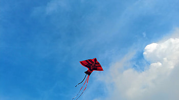 Flying kite, View from below, stock video, Colorful HD wallpaper
