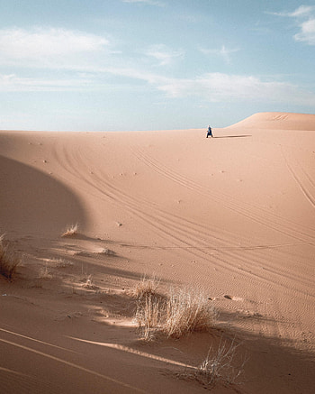Desert, Horizon, Miscellanea, Miscellaneous, Loneliness, Alone, Lonely HD phone wallpaper