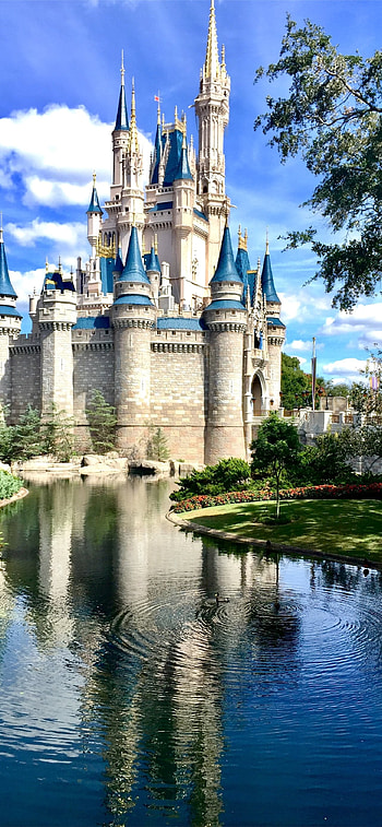 Orlando travels, Latest Orlando , , Orlando backgrounds HD phone wallpaper