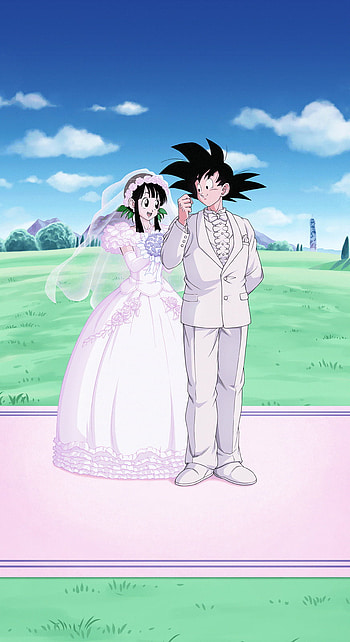 Goku & Chi-Chi, DB, Dokkan HD phone wallpaper