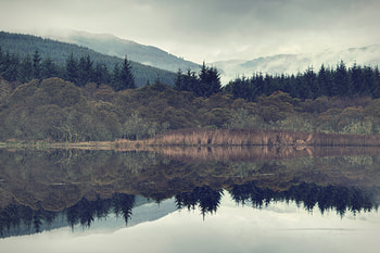 Nature, Lake, Forest, Fog, Spruce, Fir, Slope HD wallpaper