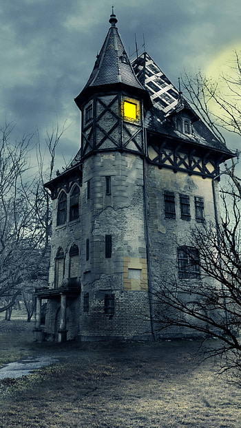 Gothic Castle, castle, dark, house HD phone wallpaper