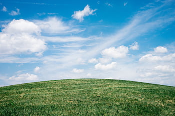 A serene meadow with a blue sky and fluffy clouds in London, Ontario. HD wallpaper