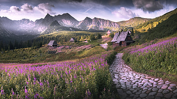 Path to Grandma's House, grandma, mountain, house, path HD wallpaper
